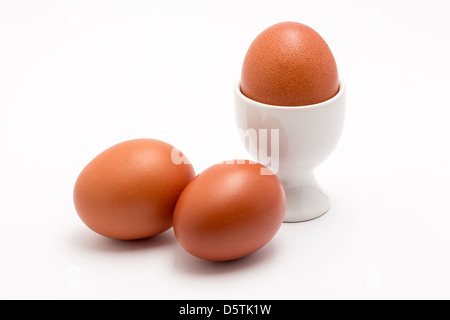 Burford trois oeufs un brun dans un coquetier blanc sur un fond uni. Banque D'Images