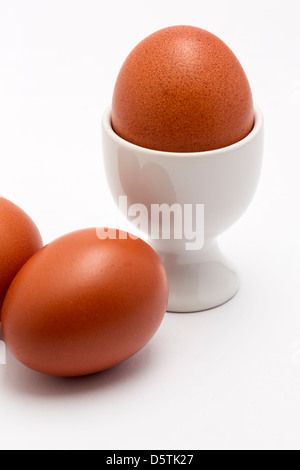 Burford trois oeufs un brun dans un coquetier blanc sur un fond uni. Banque D'Images