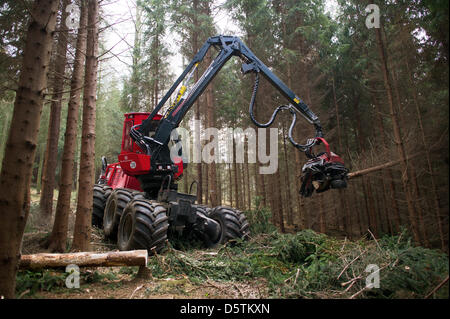 Un pêcheur, une connexion spéciale vehichle pour abattage, d'ébranchage et tronçonnage des arbres, coupe un sapin au cours de la récolte de bois par le Service des forêts de l'état de Saxe dans le district forestier Unger près de Neustadt, Allemagne, 26 novembre 2012. Autour de 1,5 hectares et de 10 pour cent de la superficie du district forestier seront éclaircis conformément au plan. Près de 80 000 mètres cubes de bois d'une val Banque D'Images