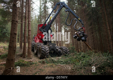 Un pêcheur, une connexion spéciale vehichle pour abattage, d'ébranchage et tronçonnage des arbres, coupe un sapin au cours de la récolte de bois par le Service des forêts de l'état de Saxe dans le district forestier Unger près de Neustadt, Allemagne, 26 novembre 2012. Autour de 1,5 hectares et de 10 pour cent de la superficie du district forestier seront éclaircis conformément au plan. Près de 80 000 mètres cubes de bois d'une val Banque D'Images