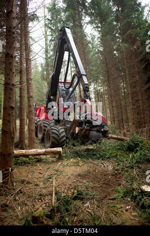 Un pêcheur, une connexion spéciale vehichle pour abattage, d'ébranchage et tronçonnage des arbres, coupe un sapin au cours de la récolte de bois par le Service des forêts de l'état de Saxe dans le district forestier Unger près de Neustadt, Allemagne, 26 novembre 2012. Autour de 1,5 hectares et de 10 pour cent de la superficie du district forestier seront éclaircis conformément au plan. Près de 80 000 mètres cubes de bois d'une val Banque D'Images