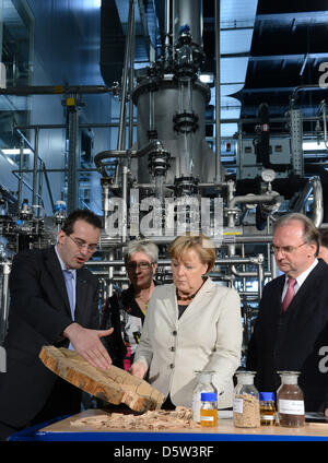 Le directeur du nouveau centre Gerd Unkelbach (L-R) parle à la Chancelière allemande Angela Merkel et le Premier Ministre de Reiner Haseloff Saxe-anhalt en face d'une bioraffinerie au nouveau Centre Fraunhofer pour Chemical-Biotechnological les processus (CBP) à Leuna, en Allemagne, 02 octobre 2012. Les scientifiques du centre des recherches sur la manière dont les ressources renouvelables pourrait être utilisée plus efficacement dans l'industrie chimique Banque D'Images