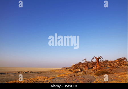 Lekhubu island, célèbre Kubu Island, Botsuana Banque D'Images