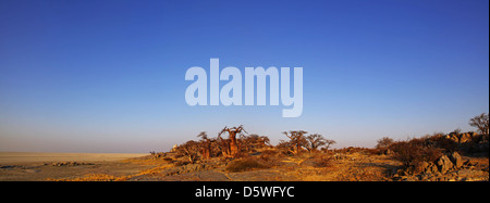 Lekhubu island, célèbre Kubu Island, Botsuana Banque D'Images