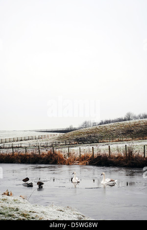 Une photographie prise sur le canal de Leeds et Liverpool. Banque D'Images