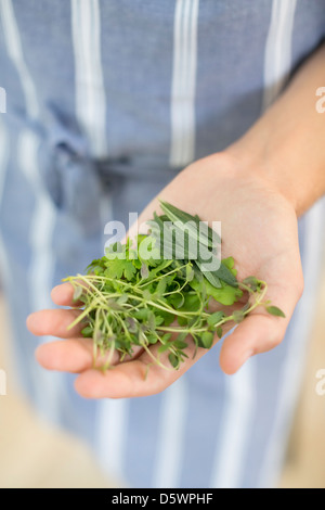 Woman holding poignée de fines herbes Banque D'Images