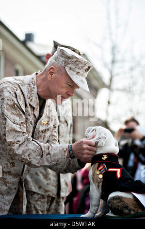 Commandant de la Marine Corps Général James F. Amos présente puppy PFC. Chesty XIV, mascotte officielle de la Marine Corps en formation, son aigle, globe et d'emblèmes indiquant son passage dans le corps au cours d'une cérémonie à la caserne de la Marine à Washington, DC. La cérémonie a marqué la conclusion de Chesty XIV la formation des recrues et familiarisation de base dans le corps. Dans les mois à venir, la jeune Marine servira dans une mascotte à l'apprentissage pour le reste de l'été aux côtés de son prédécesseur et mentor, le Sgt. Chesty XIII jusqu'à ce que le sergent à la retraite en août. Banque D'Images