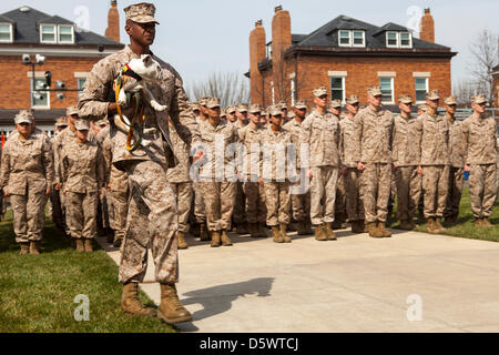 Le Sgt. Le Major Eric Stockton, sergent-major de la Marine Barracks Washington aide puppy PFC. Chesty XIV mascotte officielle du Marine Corps en formation au cours de l'aigle, globe et cérémonie de présentation de l'emblème d'ancrage à la caserne à Washington, DC. La cérémonie a marqué la conclusion de Chesty XIV la formation des recrues et familiarisation de base dans le corps. Dans les mois à venir, la jeune Marine servira dans une mascotte à l'apprentissage pour le reste de l'été aux côtés de son prédécesseur et mentor, le Sgt. Chesty XIII jusqu'à la retraite du sergent, qui est attendue à la fin août. Banque D'Images