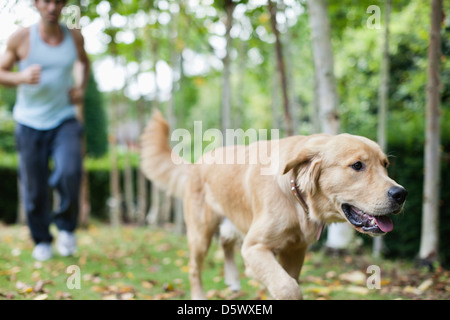 L'homme et le chien running in park Banque D'Images