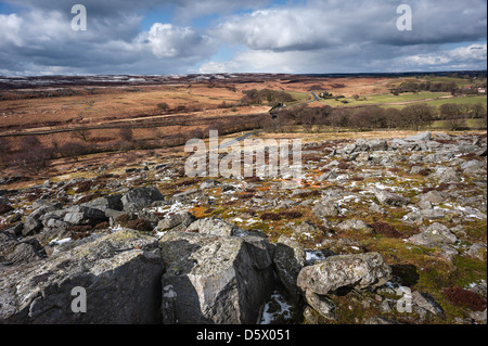 North York Moors robuste au début du printemps avec la floraison des graminées et des plaques de neige près de Goathland, Yorkshire. Banque D'Images