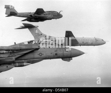 Un Grumman F-14 'tomcat' de fs (vf) 14 et EA-6B Prowler' de 'l'escadron d'attaque électronique (VAQ) 130 conduite aerial refueling tout en soutenant la 'tornade' des grèves au cours de l'opération "Tempête du désert". Banque D'Images