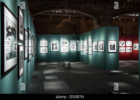 Londres, Royaume-Uni. 9 avril 2013. Le photographe brésilien Sebastiao Salgado lors d'une conférence de presse, l'affichage de son exposition 'Genèse' au Natural History Museum de Londres. La genèse est au Musée d'histoire naturelle jusqu'au 8 septembre 2013. Credit : Lucia Hrda / Alamy Live News Banque D'Images