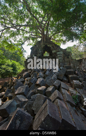 Ruines de Beng Mealea, Angkor, Cambodge Banque D'Images