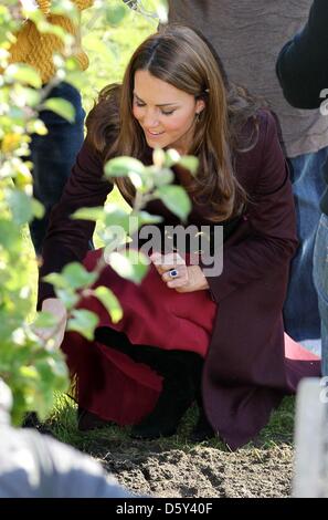 Catherine duchesse de Cambridge à Elswick Park tout en visitant un jardin communautaire à Newcastle, au nord-est de l'Angleterre, 10 octobre 2012. Kate est sur son premier solo de l'engagement. Photo : PRE-Albert Nieboer/dpa / Pays-Bas OUT Banque D'Images