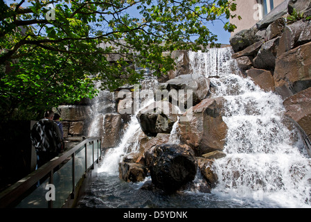 Waterfall Garden park. Pioneer Square. Seattle. USA Banque D'Images