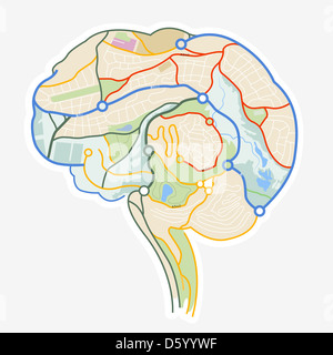 La carte du cerveau. Une illustration d'un cerveau humain composé d'une carte. Banque D'Images