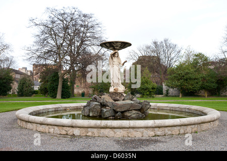 Fontaine dans Iveagh Gardens, Dublin Banque D'Images