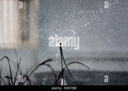L'arroseur arroser les spins des fleurs dans la matinée. Banque D'Images