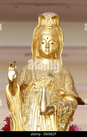 Guan Yin Statue d'or dans le sanctuaire de la Chine. Banque D'Images