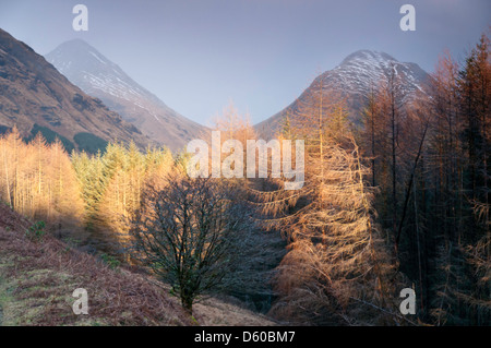 Buachaille Etive Mor à vers et Buachaille Etive beag de Glen Etive Banque D'Images