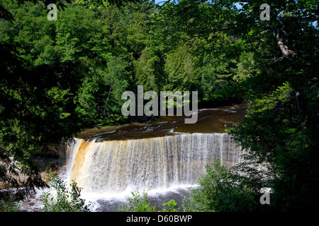 La partie supérieure de Tahquamenon Falls dans l'est de la Péninsule Supérieure du Michigan, USA. Banque D'Images