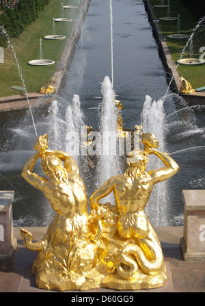 La fontaine Samson et de l'eau Avenue à Peterhof Palace,St.Petersburg Banque D'Images