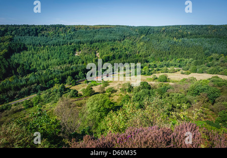 Vue sur la bruyère et la lande ouverte vers un train d'époque et de bois près de Levisham dans le parc national des North York Moors. Banque D'Images