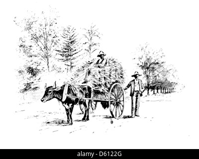 Une photographie de 1890 tirée de « A Handbook of the South », montrant un chariot dessiné par des bœufs pendant la saison des récoltes. L'image capture les pratiques agricoles du sud des États-Unis à la fin du XIXe siècle, mettant l'accent sur l'utilisation des bœufs dans l'agriculture et le transport pendant la période de récolte. Banque D'Images