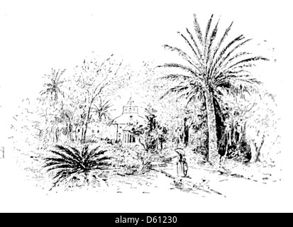 Une illustration tirée de 'A Handbook of the South' (1890), représentant des palmiers typiques du sud des États-Unis. L'image met en valeur le paysage tropical luxuriant de la région. Banque D'Images