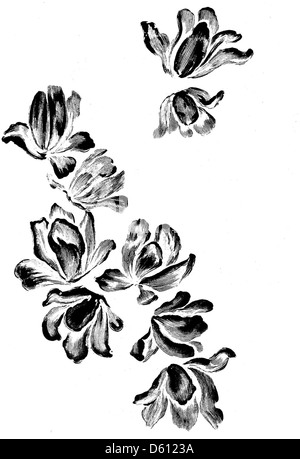 Cette image de 1890 tirée de 'A Handbook of the South' présente diverses fleurs régionales, soulignant la beauté naturelle du sud des États-Unis. L’illustration florale fournit une représentation détaillée de la flore que l’on retrouve dans cette région à la fin du XIXe siècle. Banque D'Images