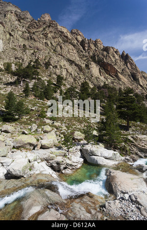 France, Corse, Corte, les Gorges de la Restonica, la rivière de la Restonica Banque D'Images