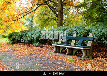 Banc de parc en automne Banque D'Images