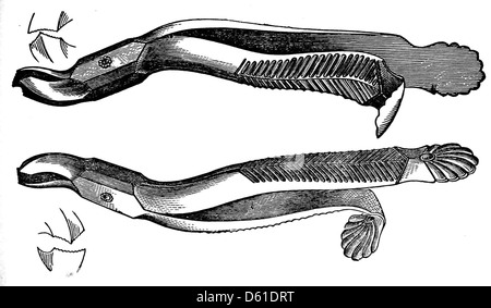 Une illustration tirée de 'un Manuel sur l'extraction des dents', publié en 1868, montrant divers outils dentaires et techniques utilisés pour l'extraction des dents au XIXe siècle. Le manuel fournit un guide sur les pratiques dentaires et les procédures chirurgicales de l'époque. Banque D'Images