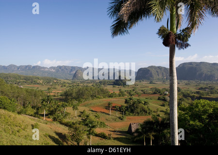 La cordillère de Guaniguanico : vue sur vallée de l''Hotel Los Jazmines Banque D'Images