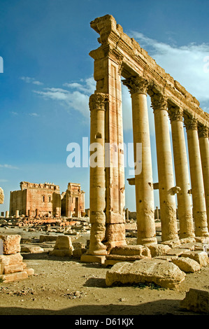 Temple de Bel 2 100 Musée de Palmyre Syrie romaine Banque D'Images