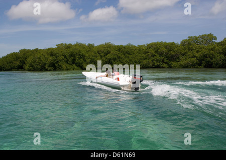 JARDINES del Rey : jungle tour à travers la mangrove en bateau Banque D'Images