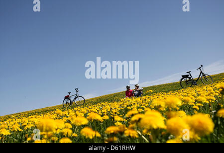 Les excursionnistes profitez d'un repos sur un alpage avec des pissenlits en fleurs près du lac Attlesee dans la région d'Allgaeu près de Nesselwang, Allemagne, 30 avril 2012. Photo : Karl-Josef Opim Banque D'Images