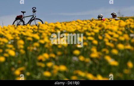 Les excursionnistes profitez d'un repos sur un alpage avec des pissenlits en fleurs près du lac Attlesee dans la région d'Allgaeu près de Nesselwang, Allemagne, 30 avril 2012. Photo : Karl-Josef Opim Banque D'Images