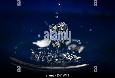 Une goutte de pluie tombe dans un baril de pluie dans la région de Landsberg am Lech, Allemagne, 13 avril 2012. La météo dans le sud de la Bavière est froid et pluvieux. Photo : Karl-Josef Opim Banque D'Images