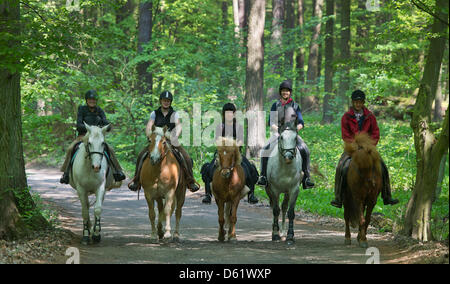 Cinq femmes montent leurs chevaux le long d'un chemin près de Neubrueck, Allemagne, 03 mai 2012. Ces cinq coureurs de tester un 130 km-long sentier rando cheval à travers la forêt 48. Groupe local Pays de l'e.V. organise le développement rural intégré de la région, l'un de ses projets en cours de l'randonnées. Photo : Patrick Pleul Banque D'Images