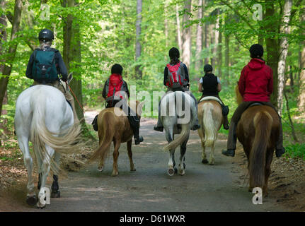 Cinq femmes montent leurs chevaux le long d'un chemin près de Neubrueck, Allemagne, 03 mai 2012. Ces cinq coureurs de tester un 130 km-long sentier rando cheval à travers la forêt 48. Groupe local Pays de l'e.V. organise le développement rural intégré de la région, l'un de ses projets en cours de l'randonnées. Photo : Patrick Pleul Banque D'Images