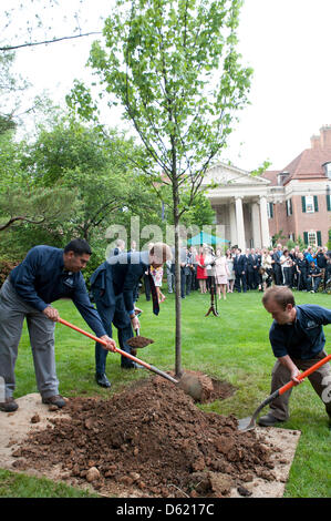 Le Prince Harry de Grande-Bretagne (C) permet de planter un arbre dans le jardin de la résidence de l'Ambassadeur britannique en reconnaissance de soldats blessés américains et britanniques, à Washington, USA, 07 mai 2012. Les soldats blessés ont participé au Jeux de guerrier qui est un événement organisé chaque année par le Comité National Olympique des États-Unis. Photo : KEVIN DIETSCH/Piscine Banque D'Images