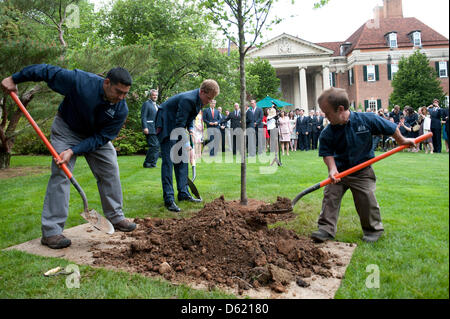 Le Prince Harry de Grande-Bretagne (C) permet de planter un arbre dans le jardin de la résidence de l'Ambassadeur britannique en reconnaissance de soldats blessés américains et britanniques dans la région de Washington, D.C., USA, 07 mai 2012. Les soldats blessés ont participé au Jeux de guerrier qui est un événement organisé chaque année par le Comité National Olympique des États-Unis. Photo : KEVIN DIETSCH/Piscine Banque D'Images