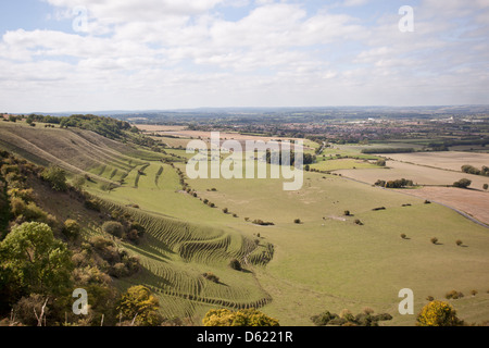 Vue sur les terrasses de Westbury White Horse, Wiltshire, Angleterre, Royaume-Uni Banque D'Images