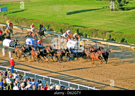Les courses de chevaux, de charrettes au Stampede de Calgary Alberta;;Canada;l'Ouest du Canada;Chuck Wagon Banque D'Images