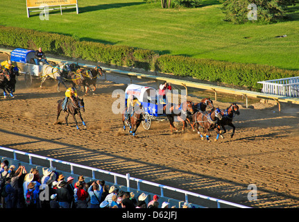 Les courses de chevaux, de charrettes au Stampede de Calgary Alberta;;Canada;l'Ouest du Canada;Chuck Wagon Banque D'Images