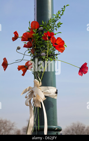 Coquelicots sur pole - Accident de la route Banque D'Images