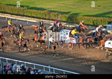 Les courses de chevaux, de charrettes au Stampede de Calgary Alberta;;Canada;l'Ouest du Canada;Chuck Wagon Banque D'Images
