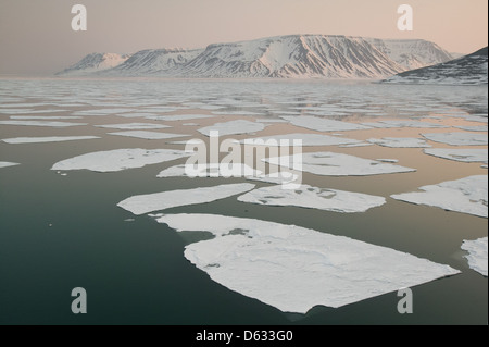 Flocons de glace en Billefjorden à Monte Carlo, région, la Norvège. Banque D'Images