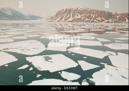 Flocons de glace en Billefjorden à Monte Carlo, région, la Norvège. Banque D'Images